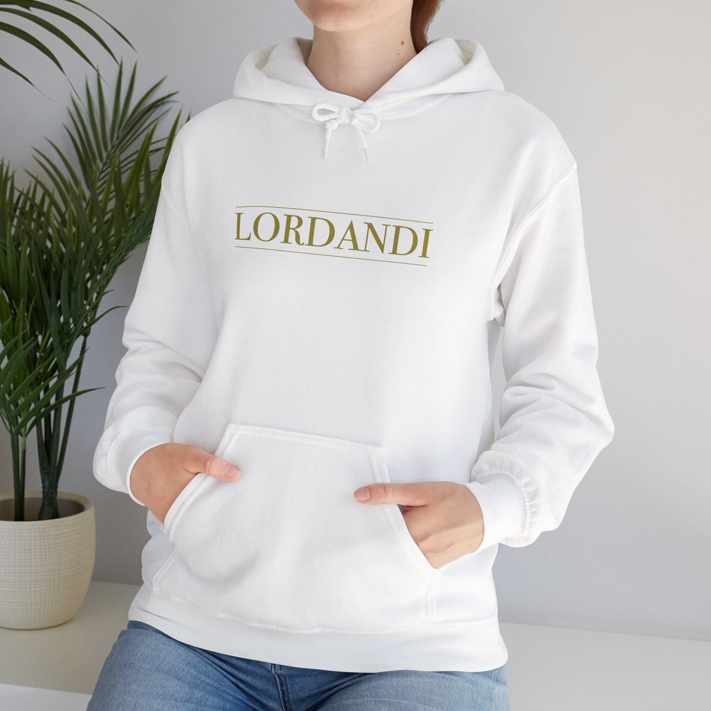 LORDANDI Hooded Sweatshirt - Church Comfort Apparel